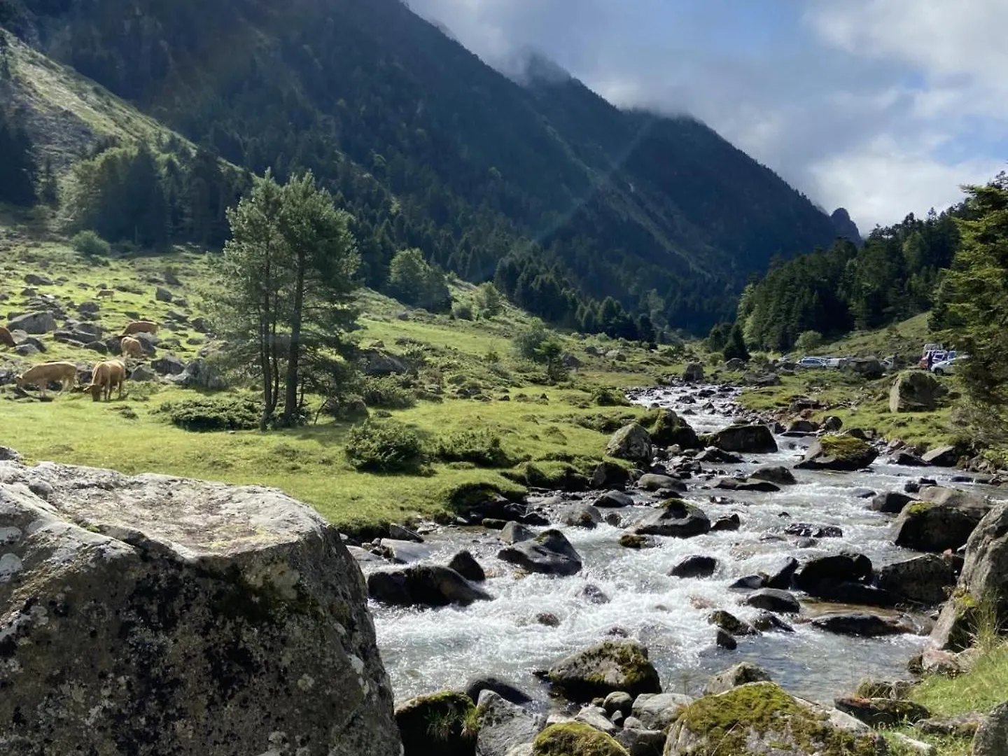 Chalet Tout Confort Au Bord Du Gave Cauterets