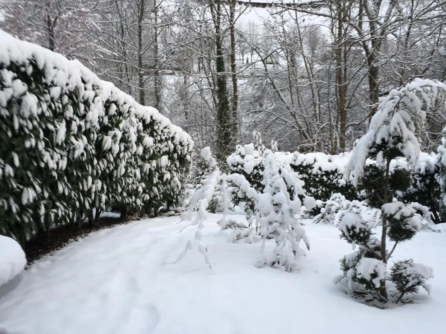 Chalet Tout Confort Au Bord Du Gave Cauterets Ferienhaus
